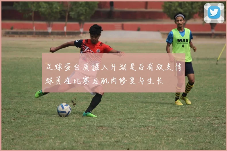 足球蛋白质摄入计划是否有效支持球员在比赛后肌肉修复与生长