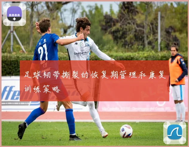 足球韧带撕裂的恢复期管理和康复训练策略