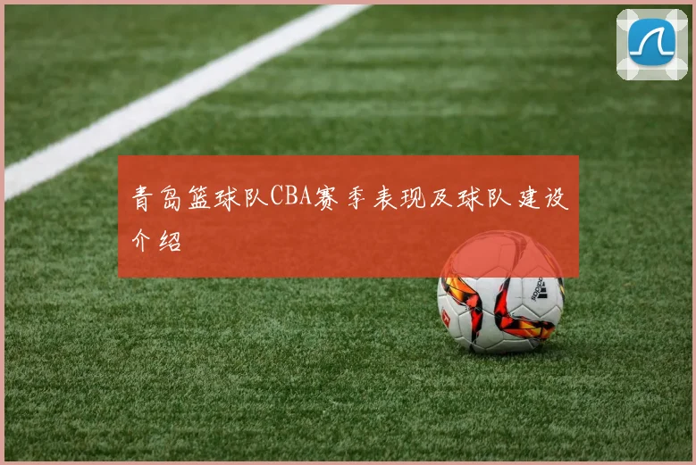 青岛篮球队CBA赛季表现及球队建设介绍